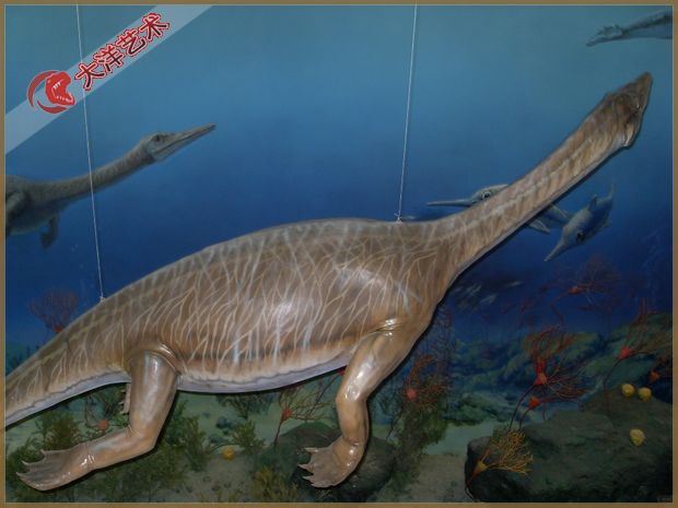 2008年浙江装置实现