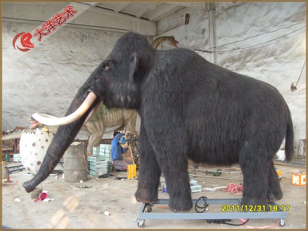 2011年11美国展览