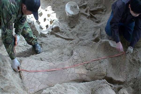 博天堂集团(btt)官网-918博天堂,人生就是博