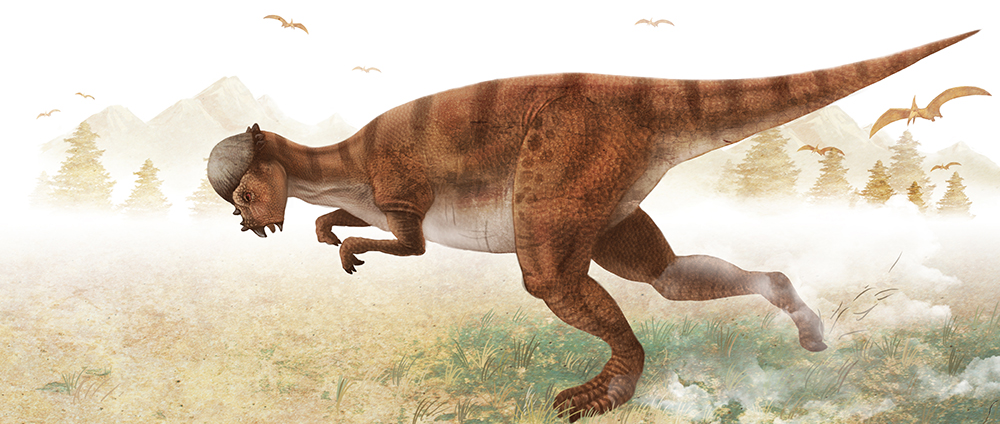 博天堂集团(btt)官网-918博天堂,人生就是博