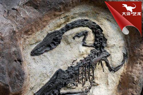 博天堂集团(btt)官网-918博天堂,人生就是博