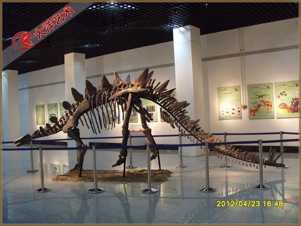 博天堂集团(btt)官网-918博天堂,人生就是博