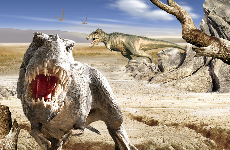 博天堂集团(btt)官网-918博天堂,人生就是博