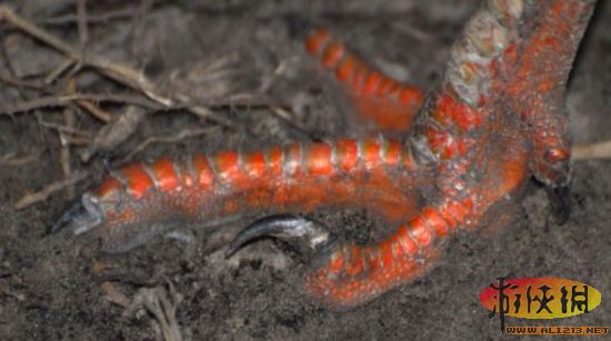 博天堂集团(btt)官网-918博天堂,人生就是博