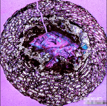 博天堂集团(btt)官网-918博天堂,人生就是博