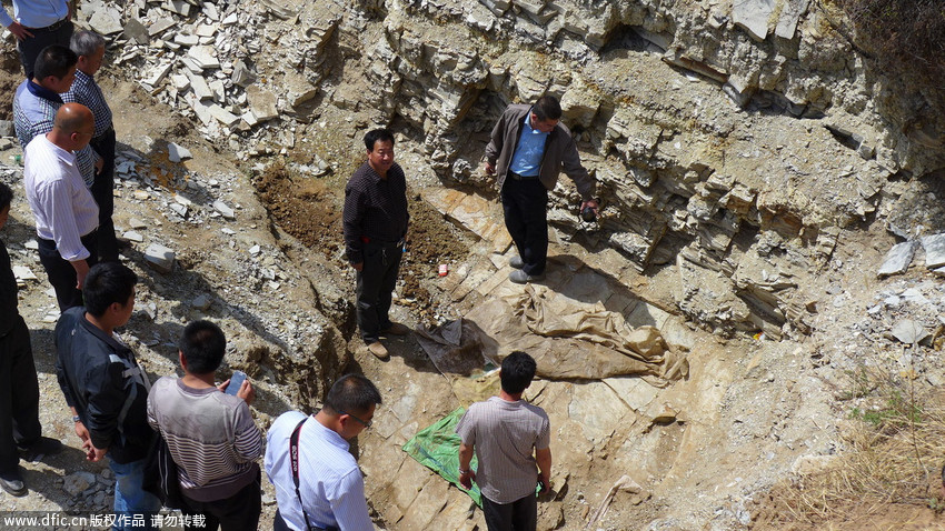 博天堂集团(btt)官网-918博天堂,人生就是博