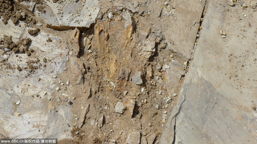 博天堂集团(btt)官网-918博天堂,人生就是博