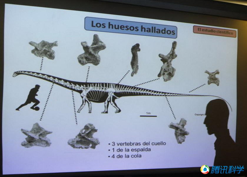 博天堂集团(btt)官网-918博天堂,人生就是博