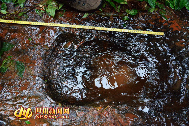 博天堂集团(btt)官网-918博天堂,人生就是博