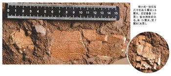 博天堂集团(btt)官网-918博天堂,人生就是博