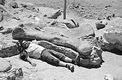 博天堂集团(btt)官网-918博天堂,人生就是博