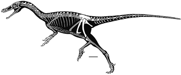 博天堂集团(btt)官网-918博天堂,人生就是博