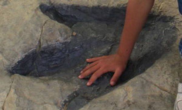 博天堂集团(btt)官网-918博天堂,人生就是博