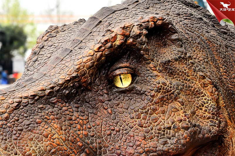 仿真恐龙，，，，，，，霸王龙龙头模型