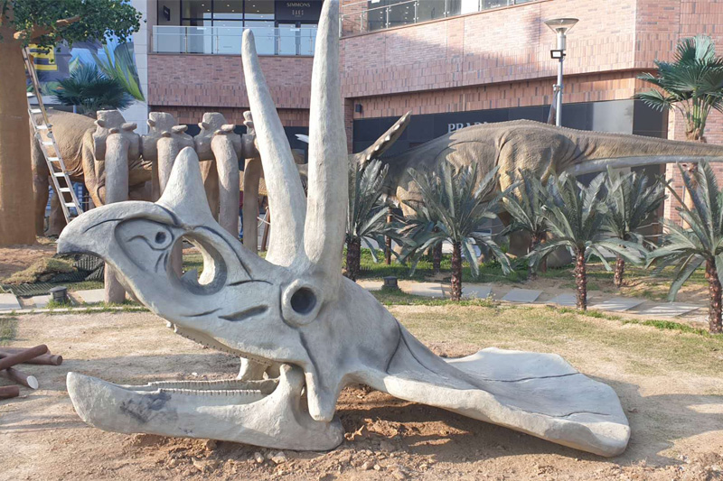 韩国客户自行装置恐龙产品