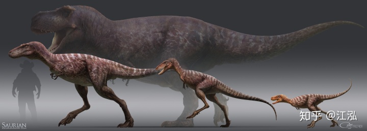 霸王龙毕生分为21个阶段，，，，，，其中两个阶段最为关键！