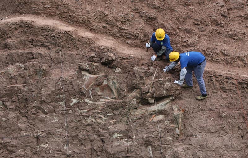 博天堂集团(btt)官网-918博天堂,人生就是博