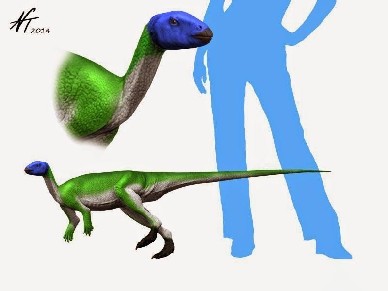 博天堂集团(btt)官网-918博天堂,人生就是博