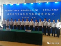 市委书记范波带队赴上海参与“66品进博、游国展、赏灯会”主题活动