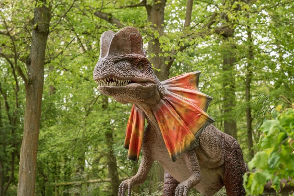 博天堂集团(btt)官网-918博天堂,人生就是博